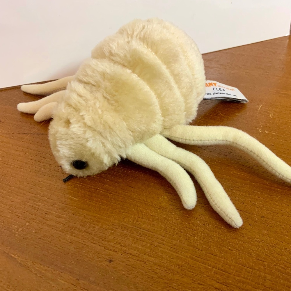 GIANT Microbes Flea plush toy. Science toy & Collectible. Bloodsucking creature